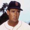 Ted Williams